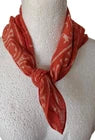 Organic Cotton Indian Hand Print Bandana Scarf