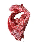 Organic Cotton  Indian Hand Print Bandana Scarf